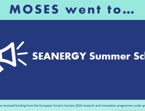 Final Results of MOSES Project at SEANERGY Summer School, 26.09.2024